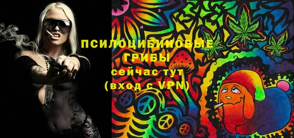 прущие крисы Белокуриха
