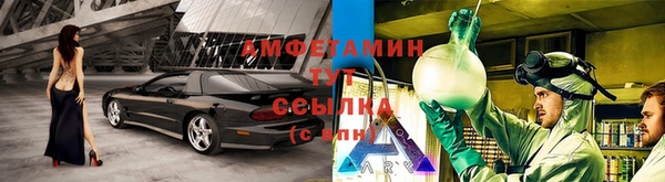 прущие крисы Белокуриха