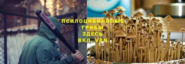 стаф Богородицк